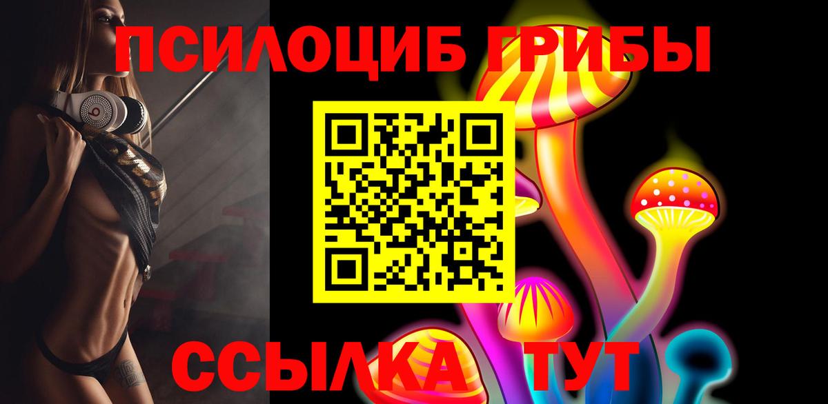 Ступино  Псилоцибиновые грибы MAGIC MUSHROOMS  Вход с VPN 